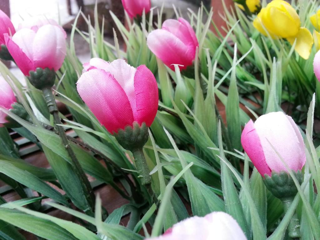 Pink Tulip Hotel Ho Chi Minh Zewnętrze zdjęcie