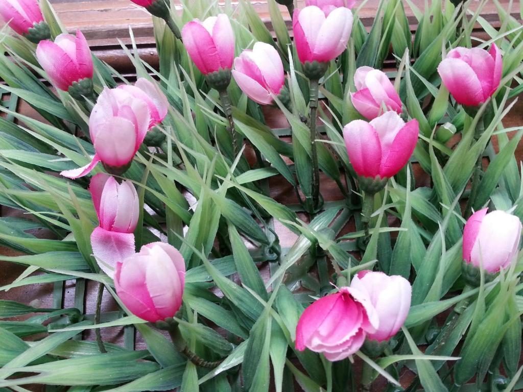 Pink Tulip Hotel Ho Chi Minh Zewnętrze zdjęcie